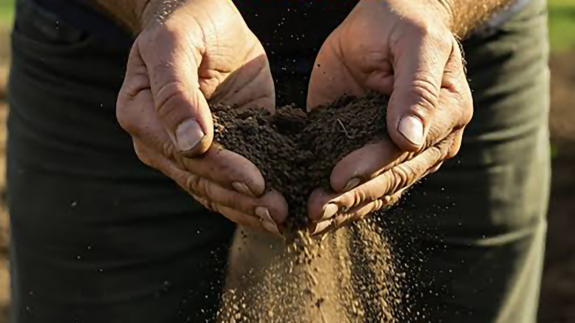 ODS 12: Producción y consumo responsable