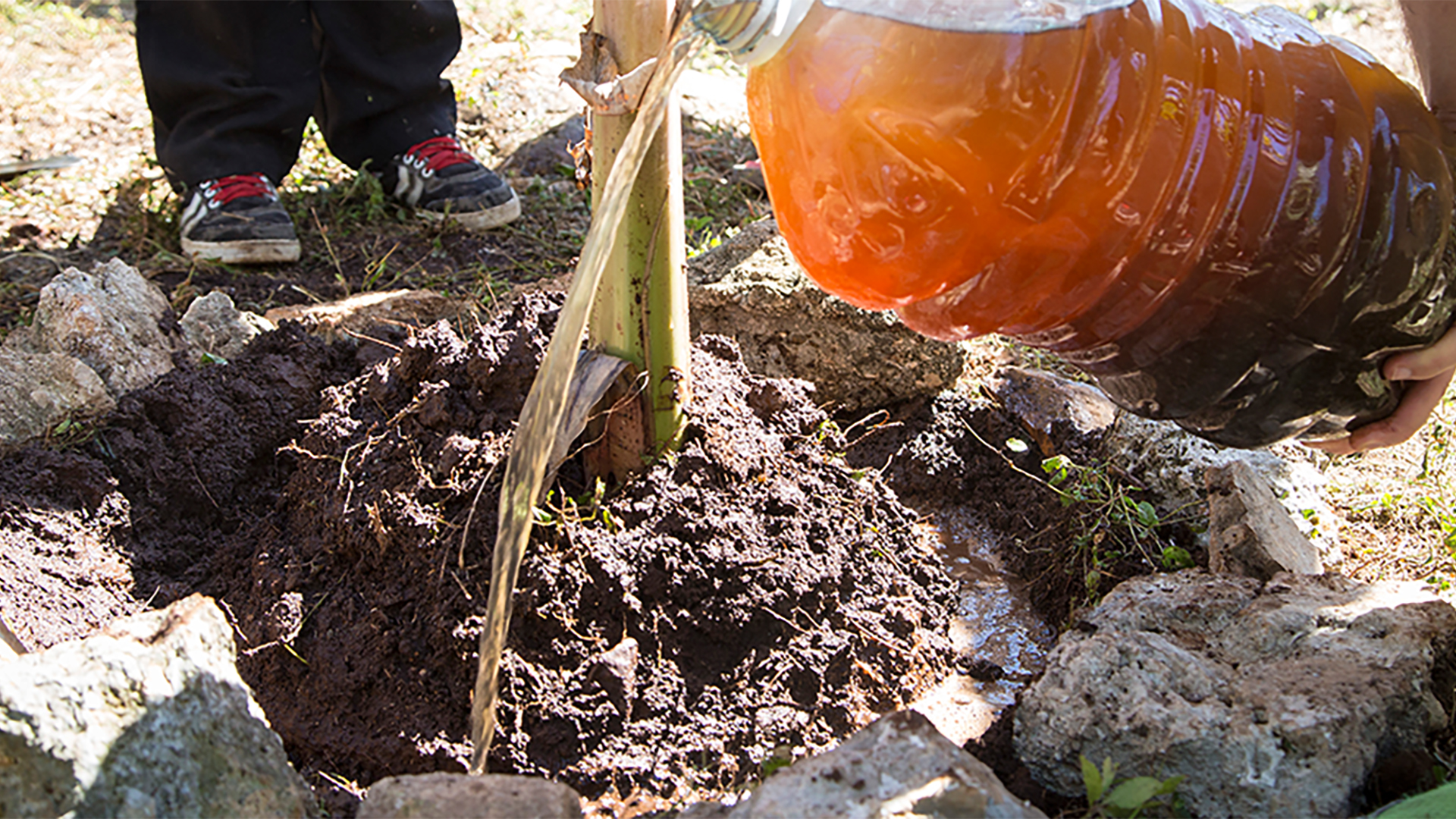 Caracterización de biol y fermentación