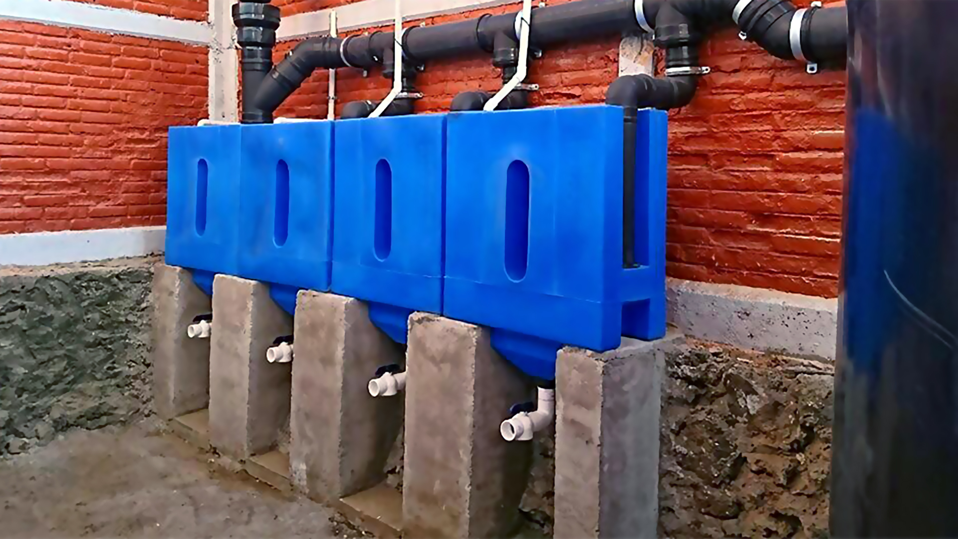Cosecha de agua de lluvia