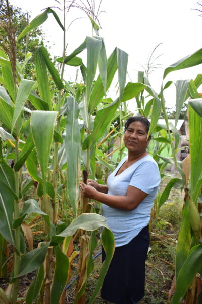 Mujer campesina: decisiones y participación