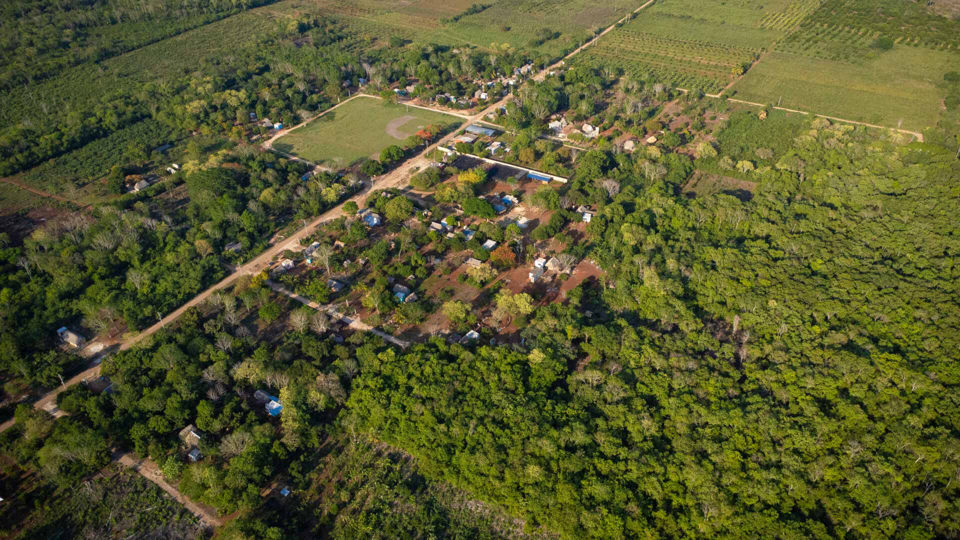 IRRI México
