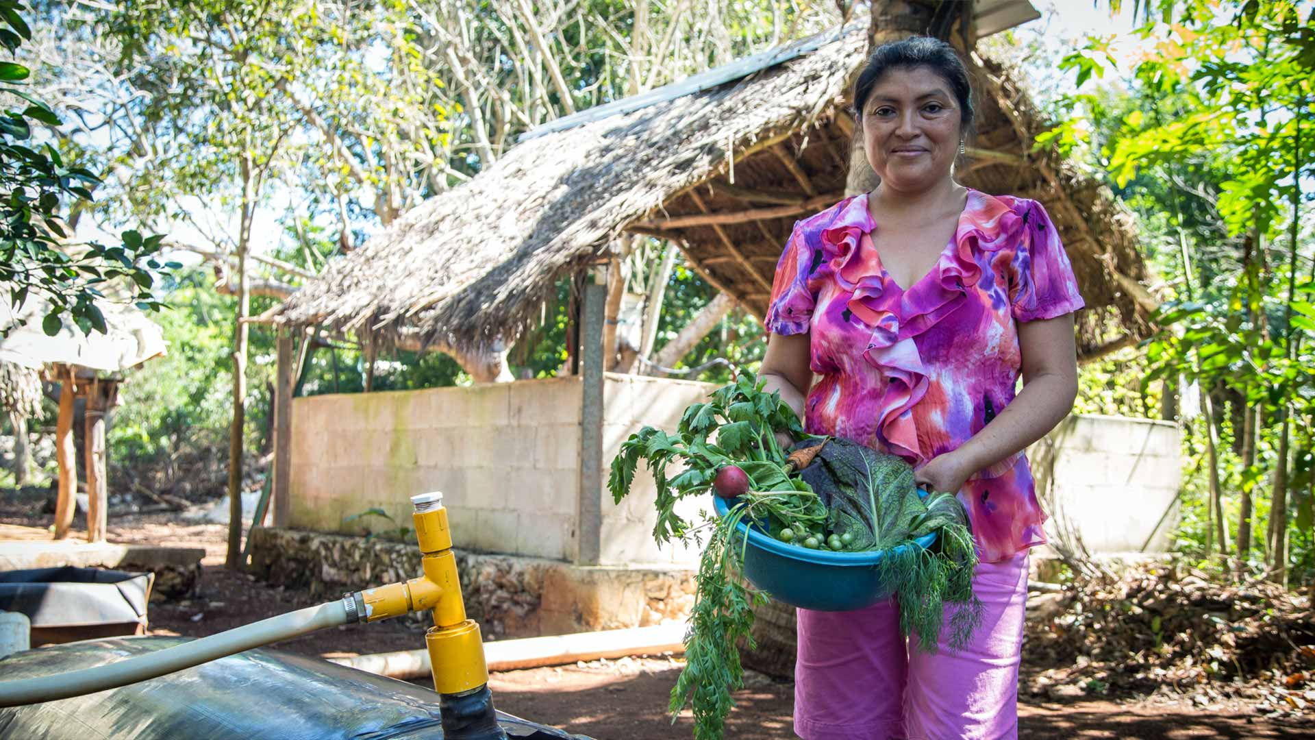 IRRI México